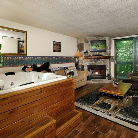 Bear Creek 167 Villa Gatlinburg Dış mekan fotoğraf